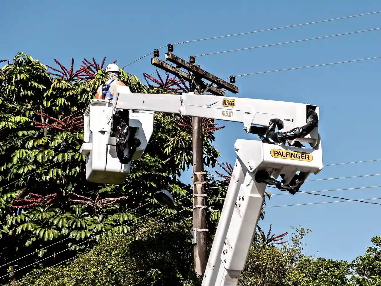 Rede de distribuição de energia elétrica: segurança total